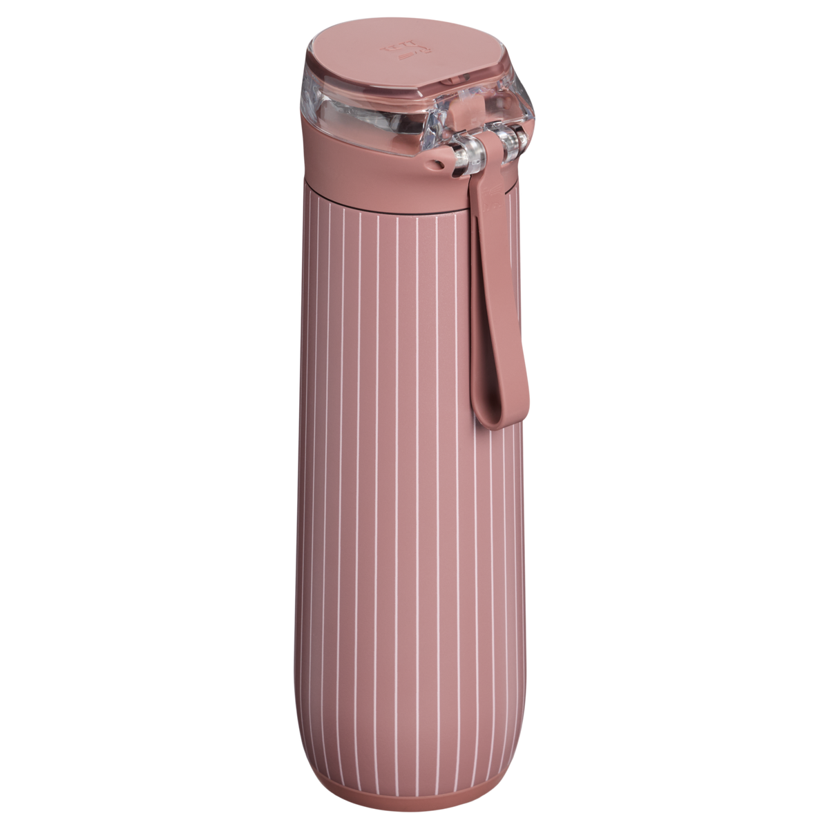 Stanley 1913 Flowstate™ Spring Bottle 0.59L in Moab Pinstripe | Back View