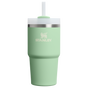 Visuel pour Stanley 1913 Quencher® H2.O Flowstate™ Tumbler 0.59L dans Pistachio | Recto Afficher